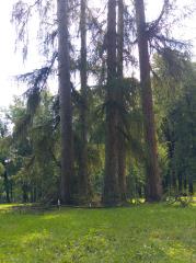 Grajski park9